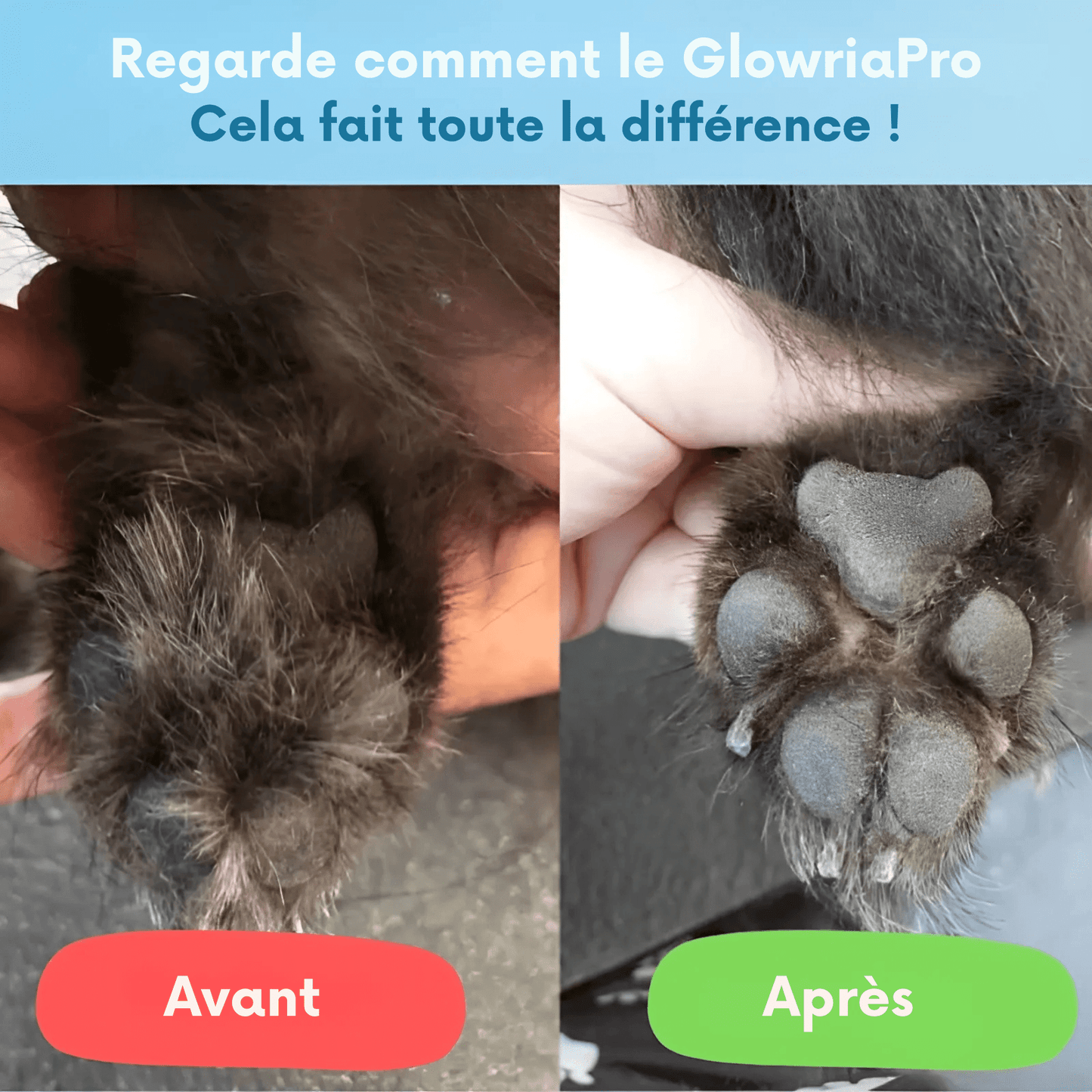SOINS DES PATTES SANS DOULEUR EN QUELQUES SECONDES - Glowria Store