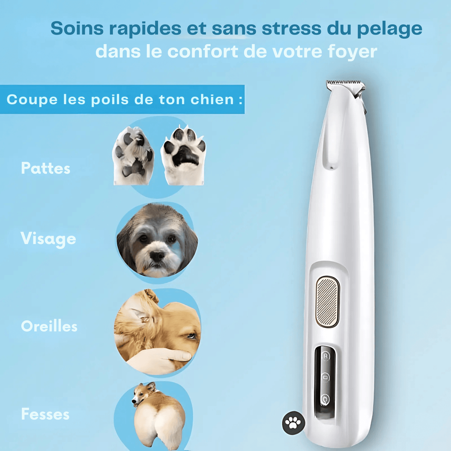 SOINS DES PATTES SANS DOULEUR EN QUELQUES SECONDES - Glowria Store