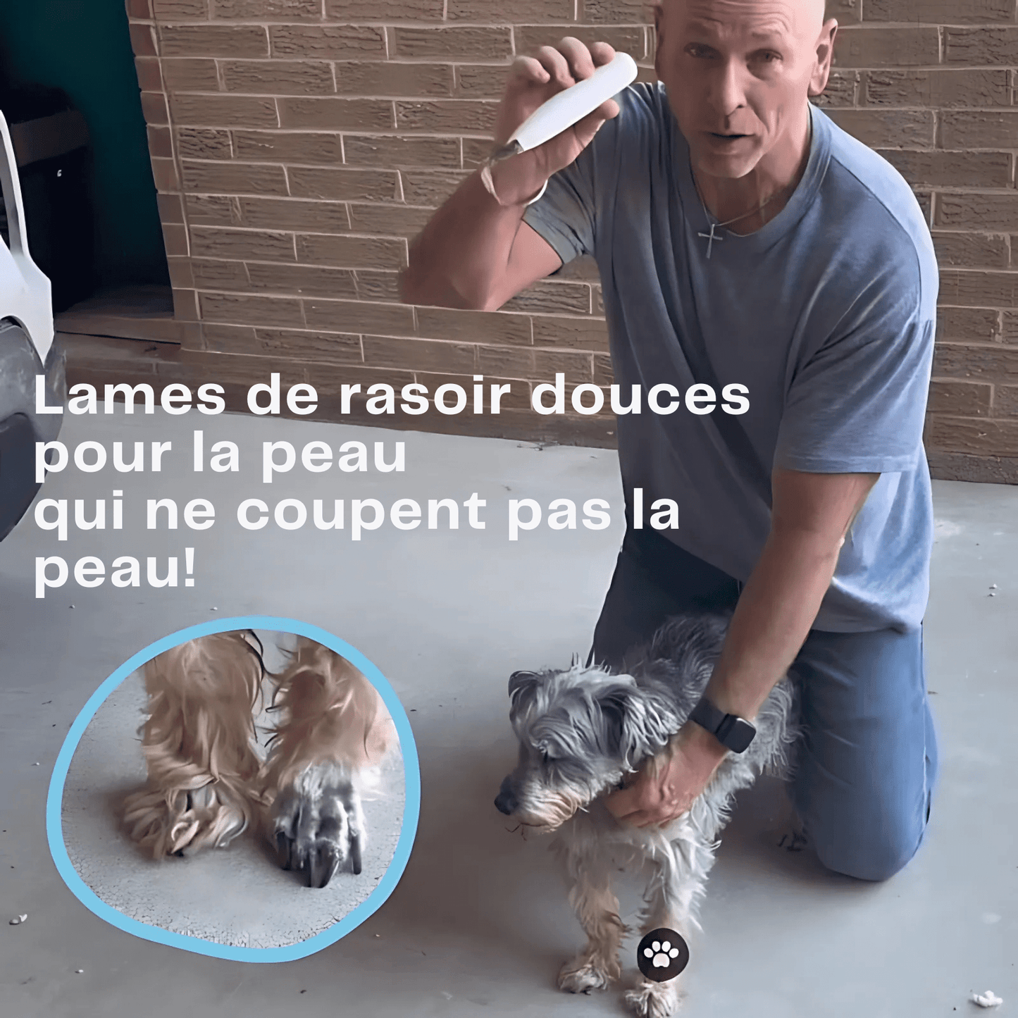 SOINS DES PATTES SANS DOULEUR EN QUELQUES SECONDES - Glowria Store