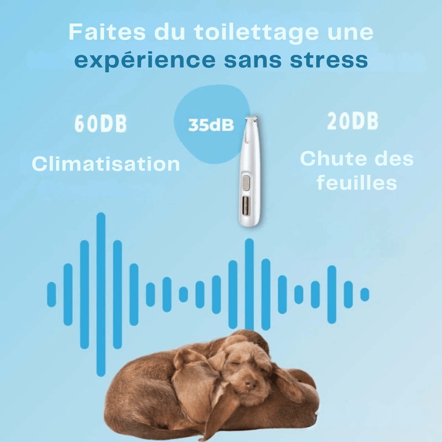 SOINS DES PATTES SANS DOULEUR EN QUELQUES SECONDES - Glowria Store