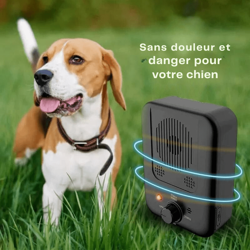 Dispositif Anti - Aboiement pour chien - Calmidog