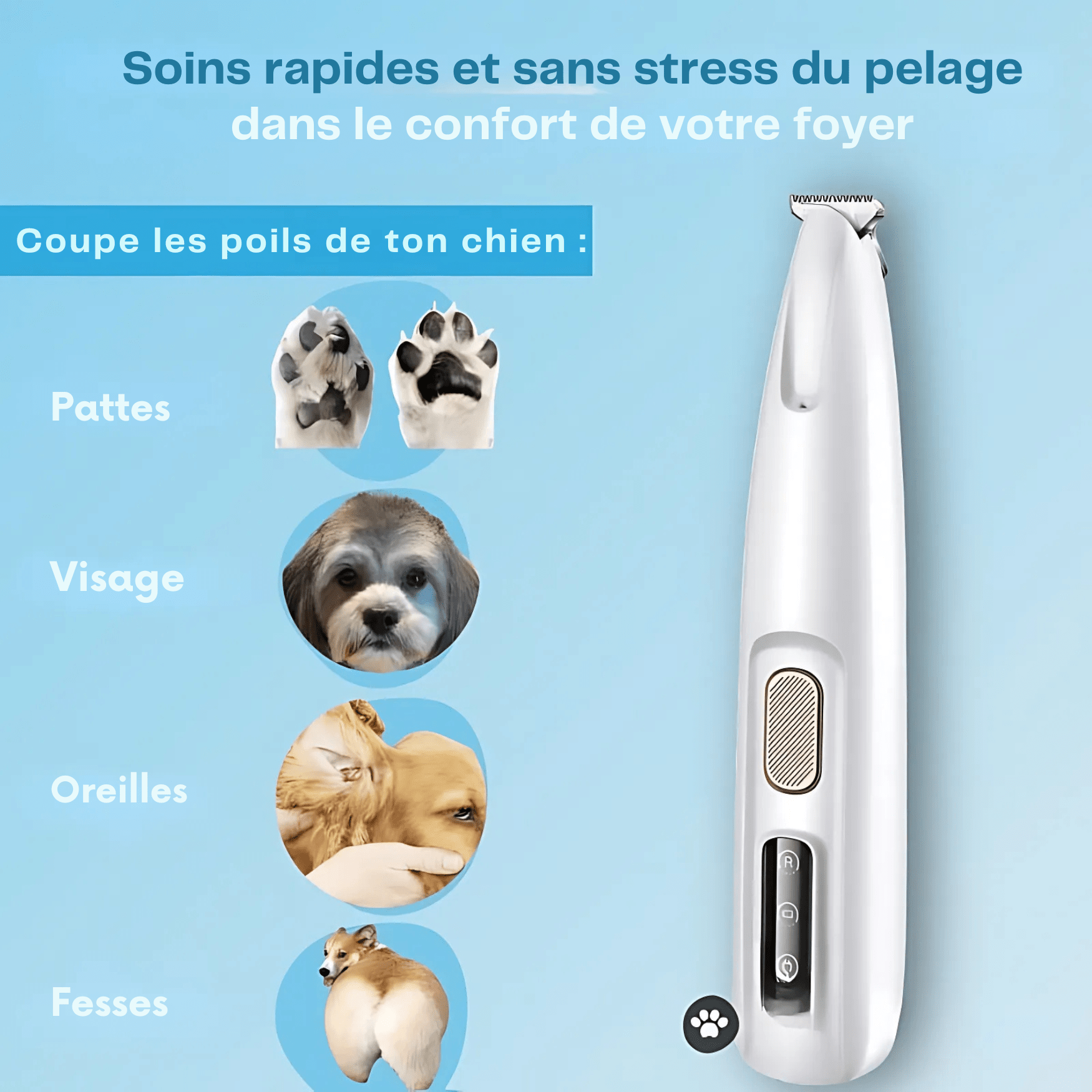 SOINS DES PATTES SANS DOULEUR EN QUELQUES SECONDES - Glowria Store